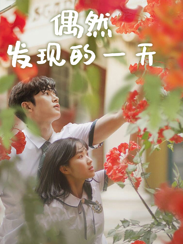 偶然发现的一天