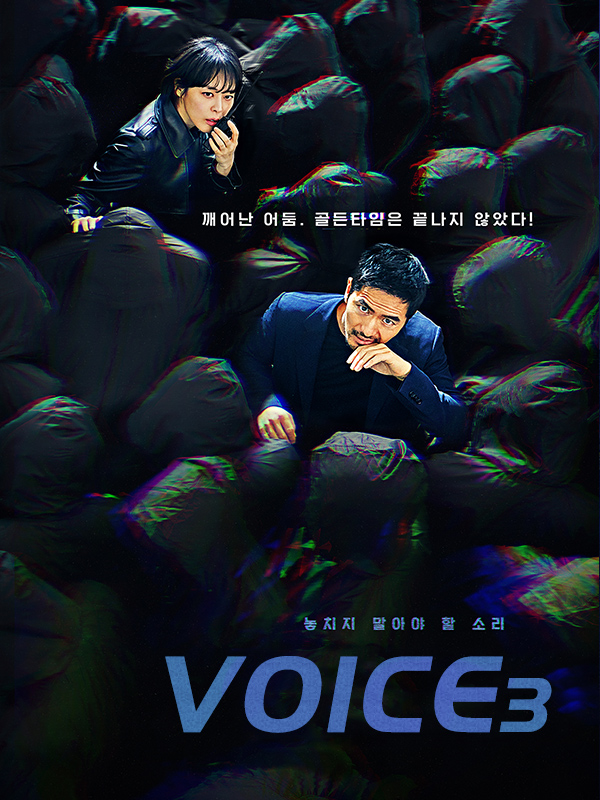 Voice3