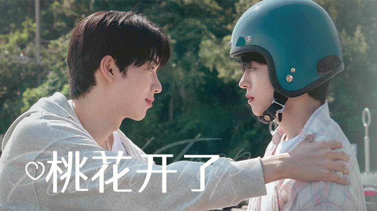 2025下半年BL黑马!韩剧《桃花开了》:母胎单身与三位男神的四季浪漫攻略