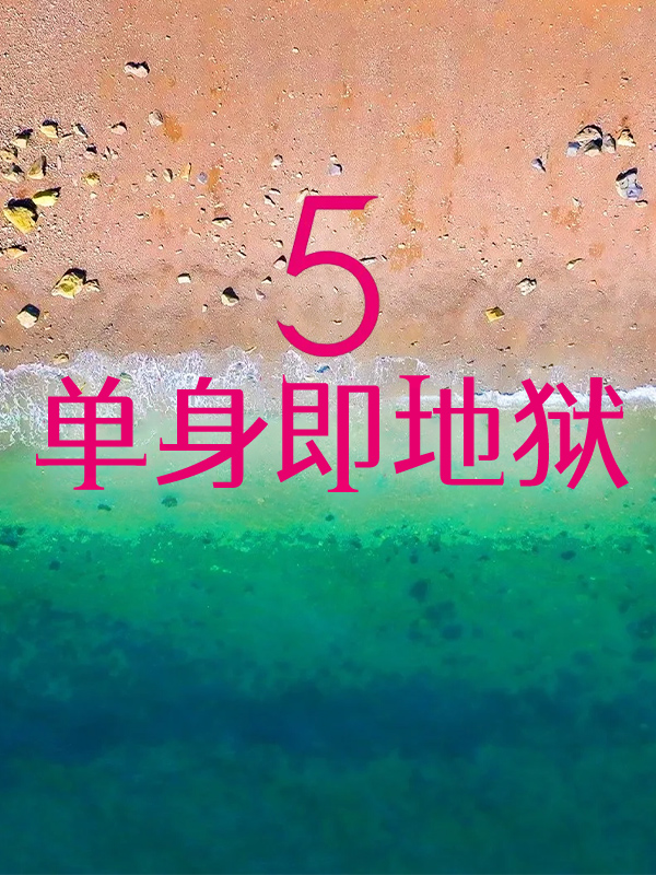 单身即地狱5