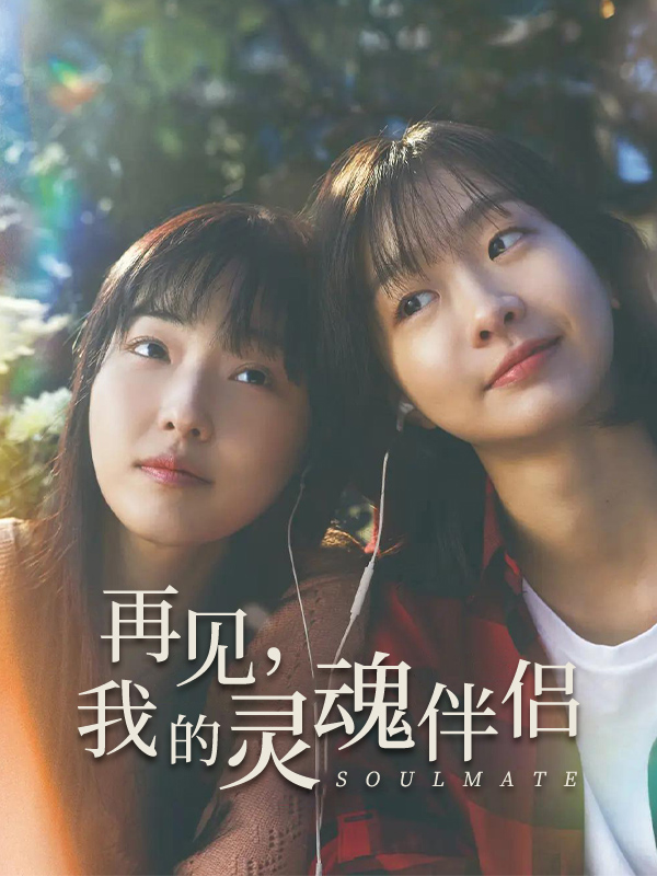 再见,我的灵魂伴侣