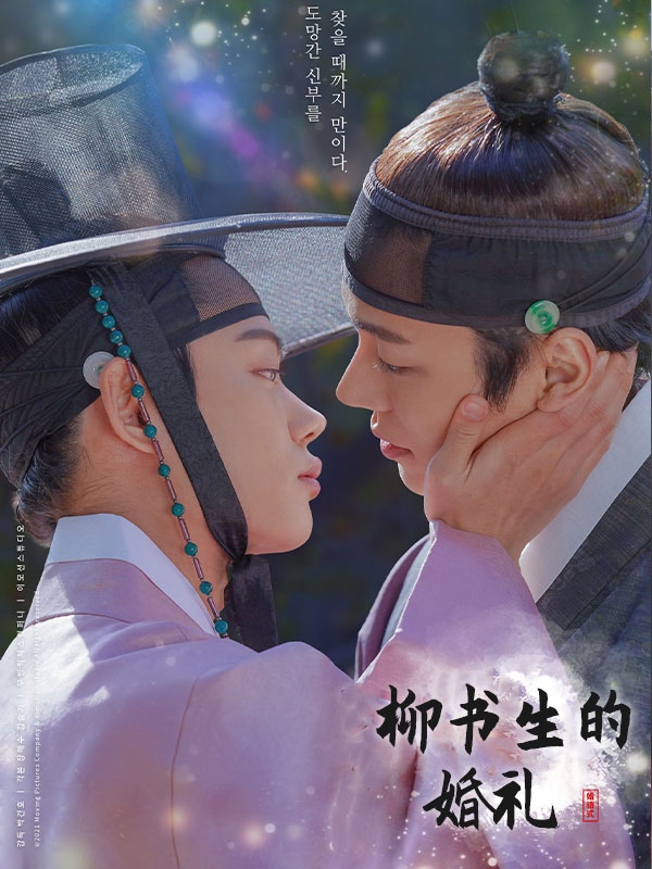 柳书生的婚礼