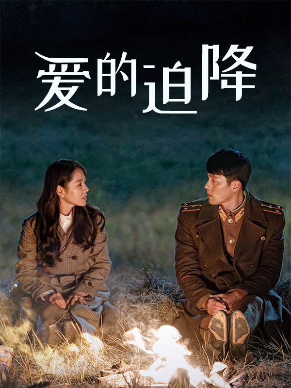 爱的迫降