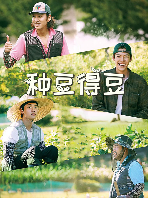 种豆得豆