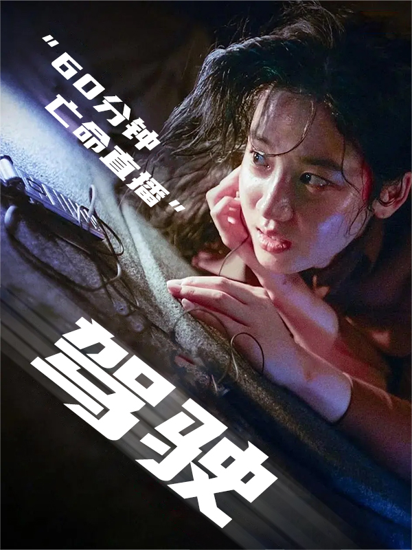 驾驶